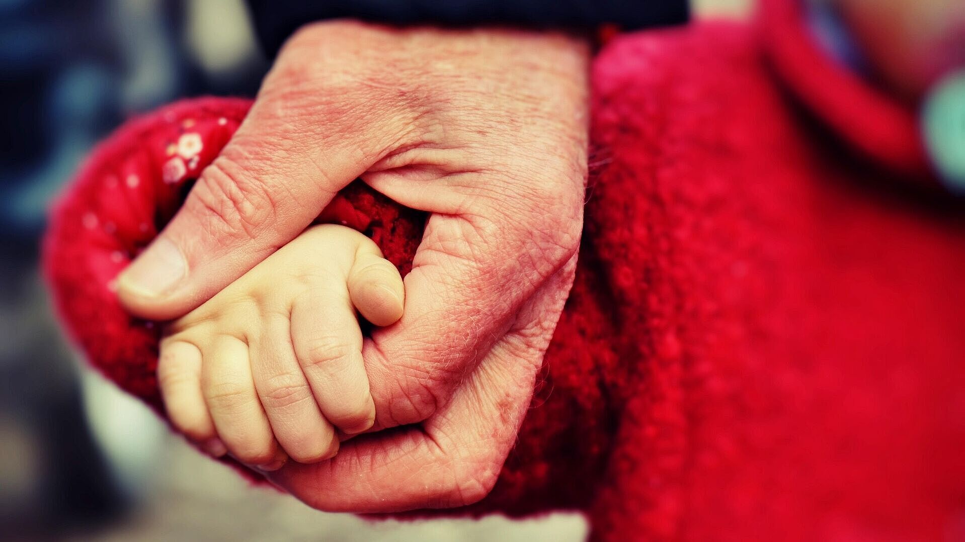 © pixabay.com Kinderhand